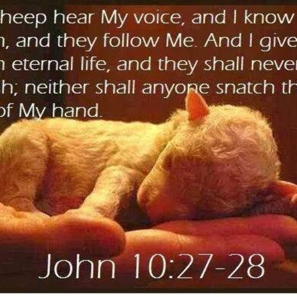 Meet your Posher, Ellen